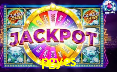 Experiência VIP pgyes