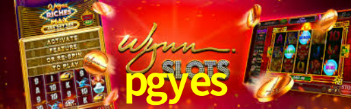 pgyes.com