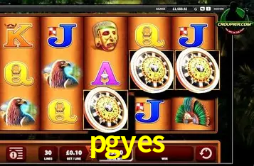 Provedores de Jogos pgyes