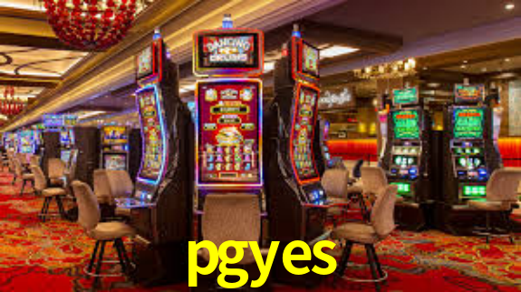 pgyes.com
