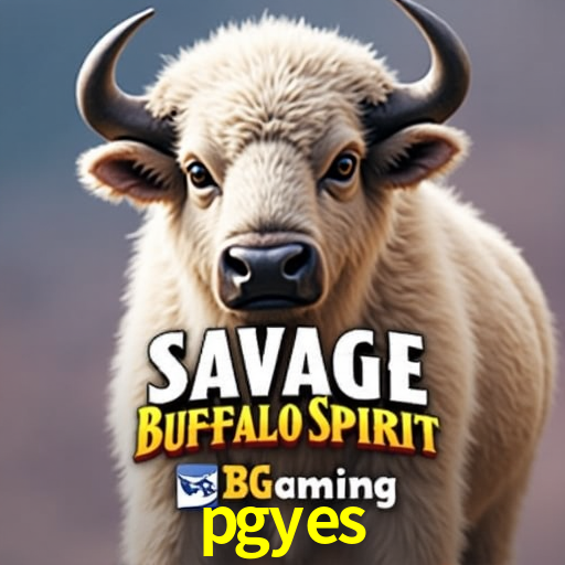 Descubra o Mundo do Cassino Online com pgyes