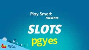 Premium Interface pgyes